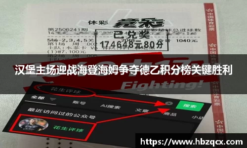 汉堡主场迎战海登海姆争夺德乙积分榜关键胜利